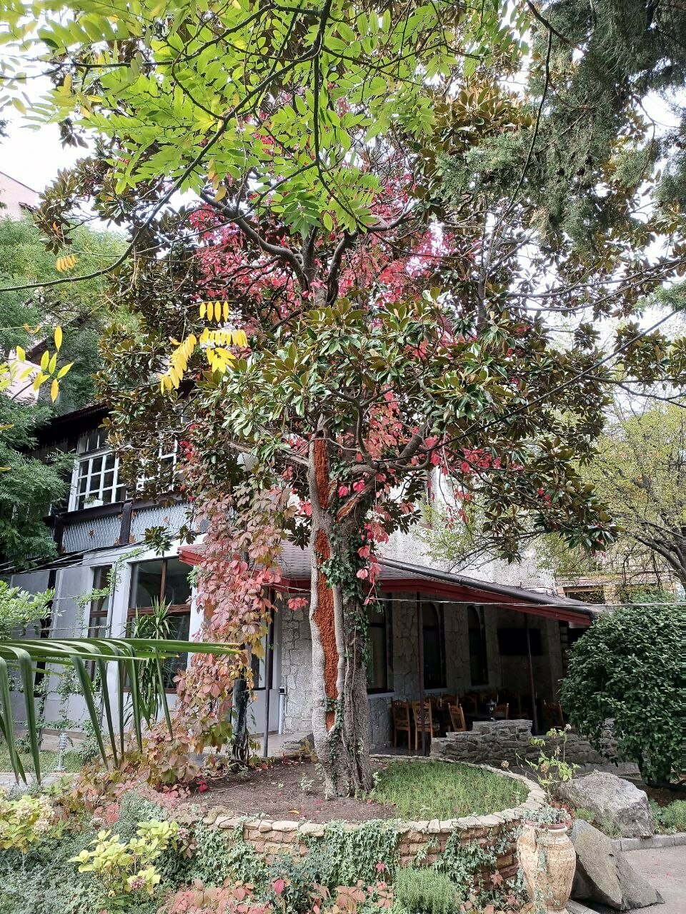 Гостиница Муссон Ялта-45