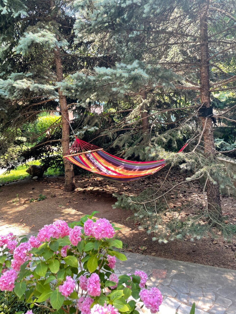 Гостиница Муссон Ялта-26