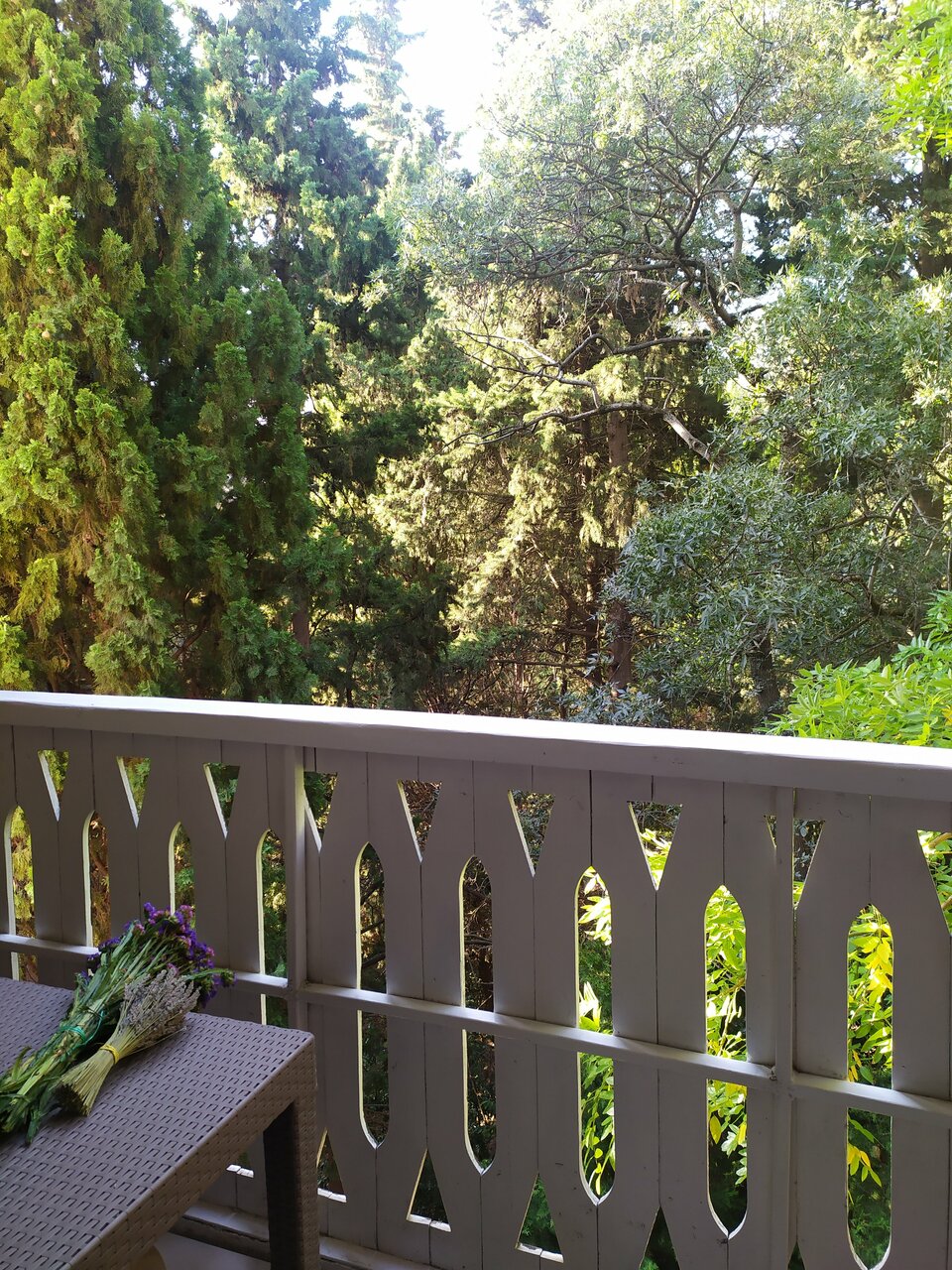 Гостиница Муссон Ялта-79