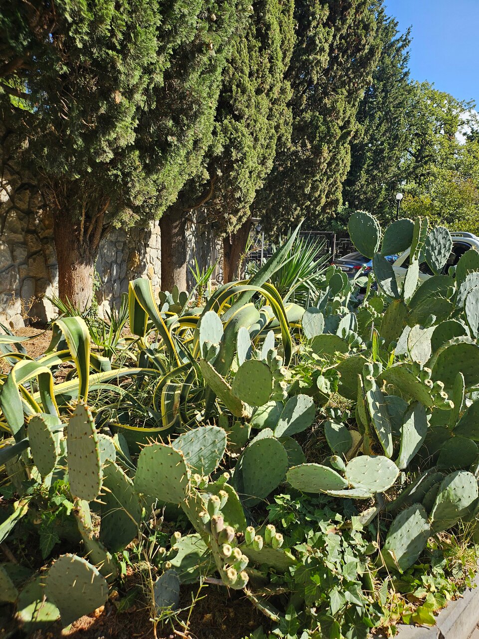 Гостиница Муссон Ялта-165