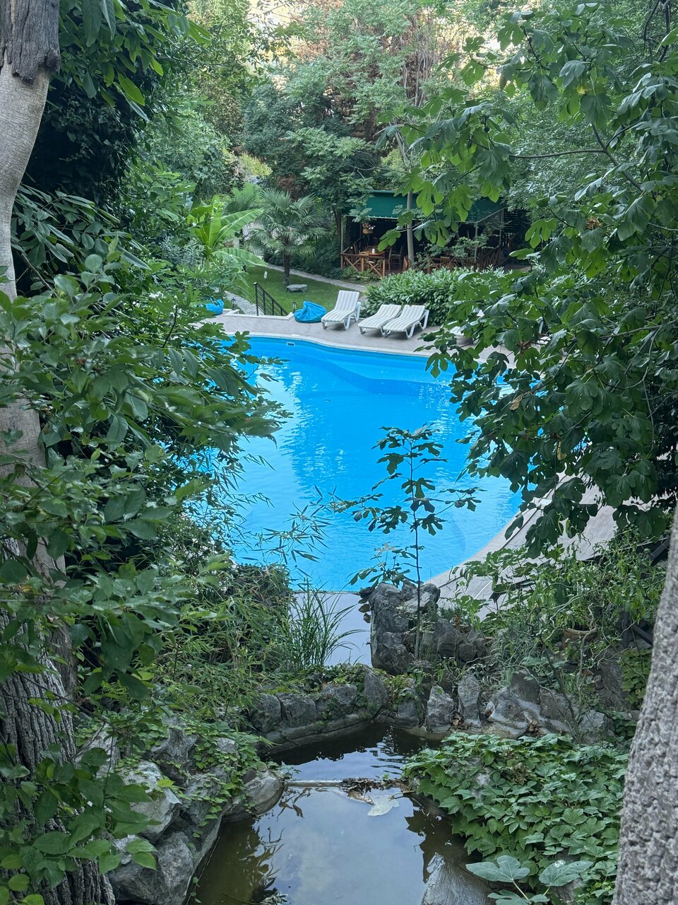 Гостиница Муссон Ялта-167