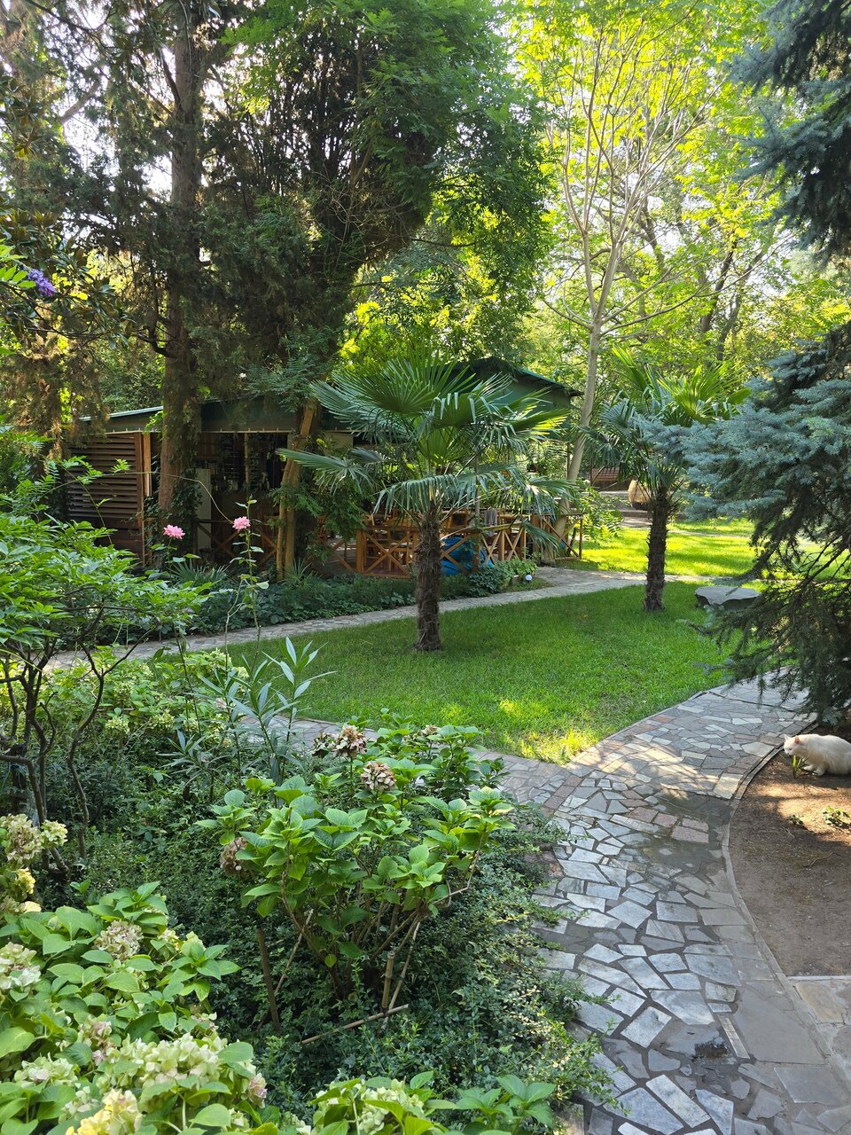 Гостиница Муссон Ялта-95