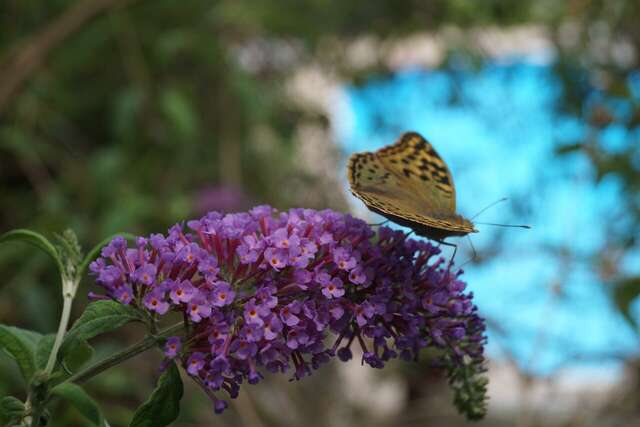 Гостиница Муссон Ялта-72