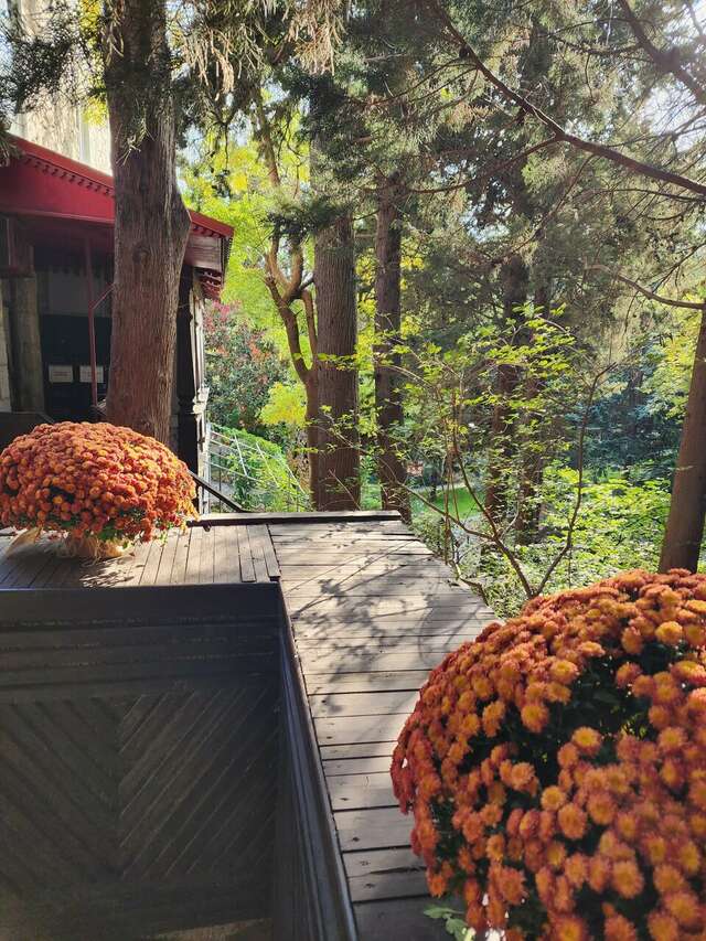 Гостиница Муссон Ялта-116