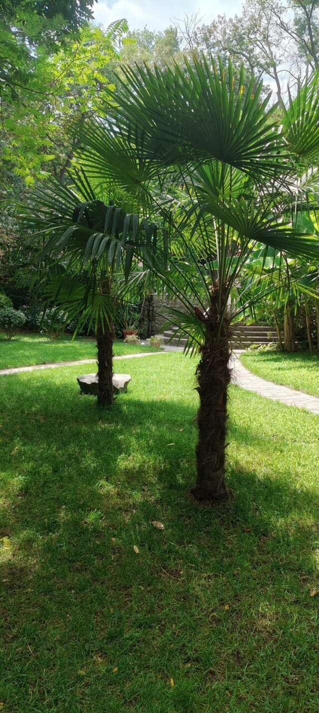 Гостиница Муссон Ялта-103