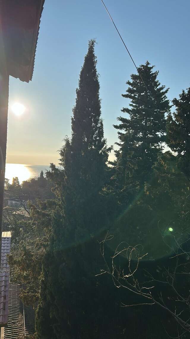 Гостиница Муссон Ялта-177