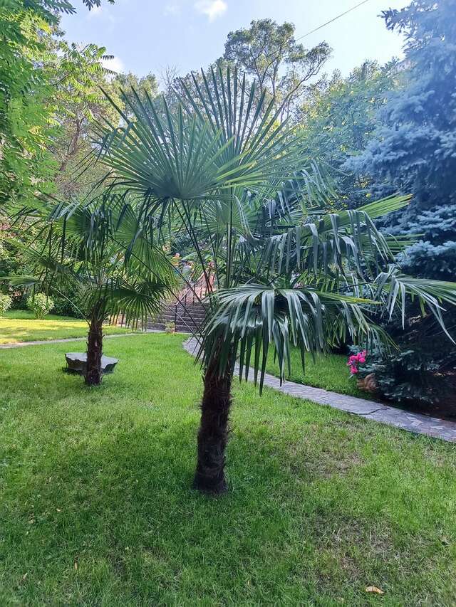 Гостиница Муссон Ялта-80