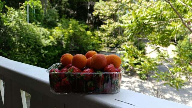 Гостиница Муссон Ялта-170