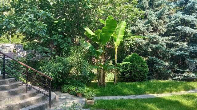 Гостиница Муссон Ялта-93