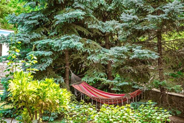 Гостиница Муссон Ялта-50