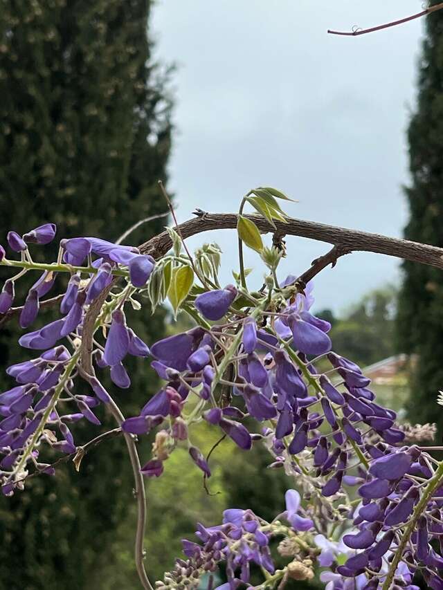 Гостиница Муссон Ялта-168