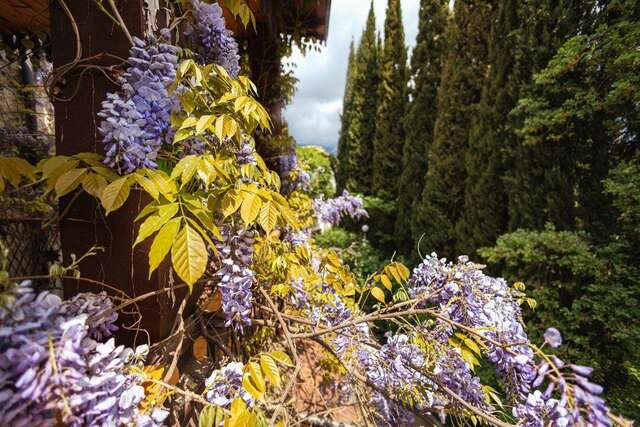 Гостиница Муссон Ялта-51