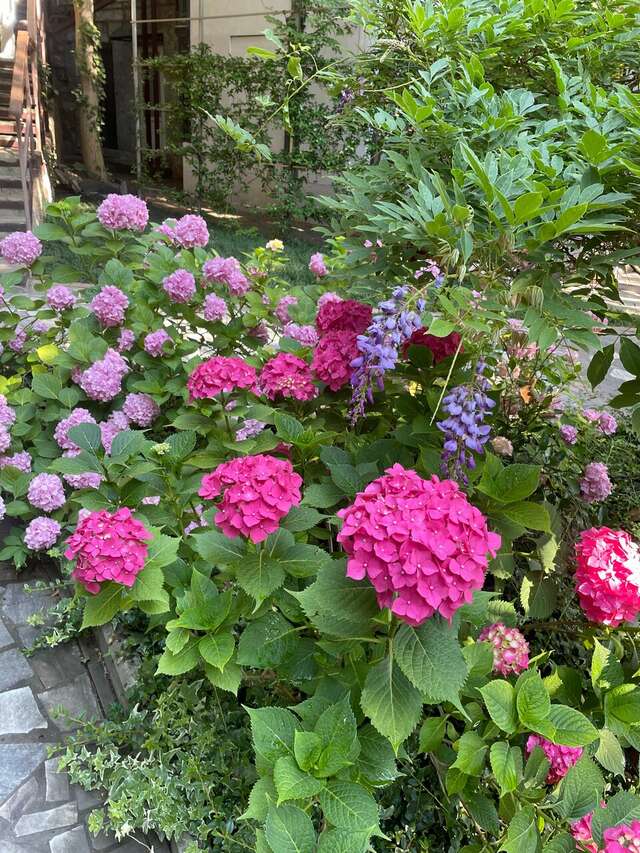 Гостиница Муссон Ялта-162